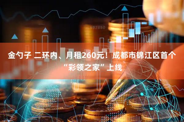 金勺子 二环内、月租260元！成都市锦江区首个“彩领之家”上线