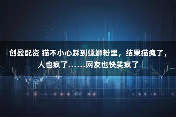 创盈配资 猫不小心踩到螺蛳粉里，结果猫疯了，人也疯了……网友也快笑疯了