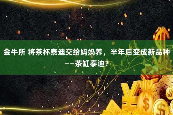 金牛所 将茶杯泰迪交给妈妈养，半年后变成新品种——茶缸泰迪？