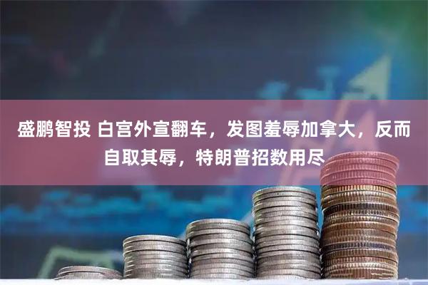 盛鹏智投 白宫外宣翻车，发图羞辱加拿大，反而自取其辱，特朗普招数用尽
